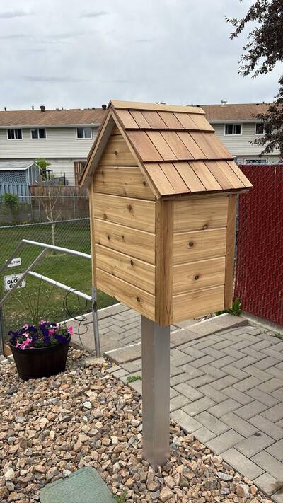 Side view of the same lending library, showing the shingled roof and wood siding.
